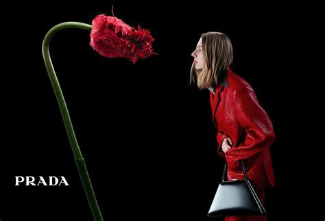 prada blossom